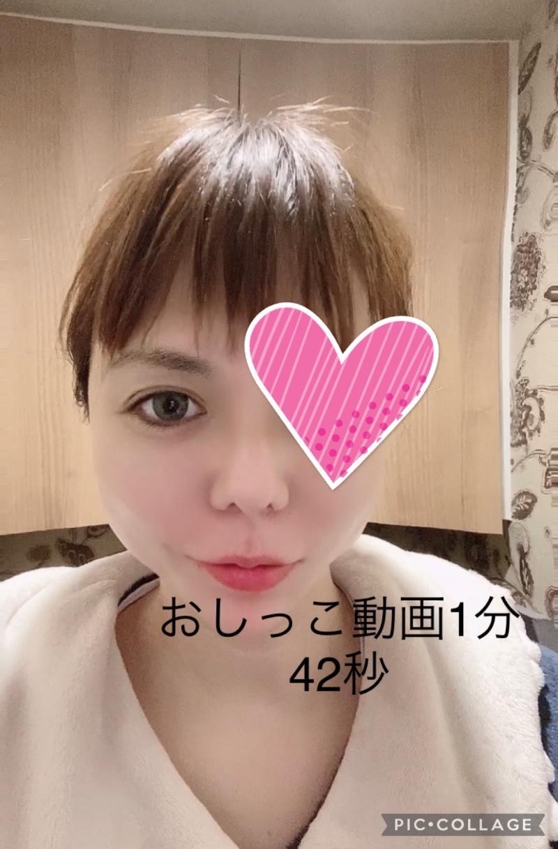 出品者名-写真