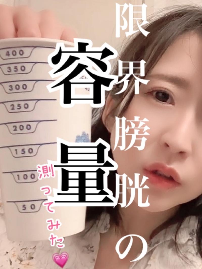 出品者名-写真