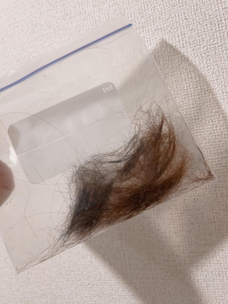 出品者名-写真