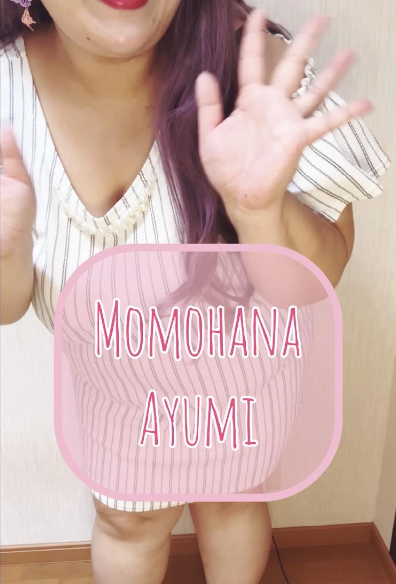 出品者名-写真-1