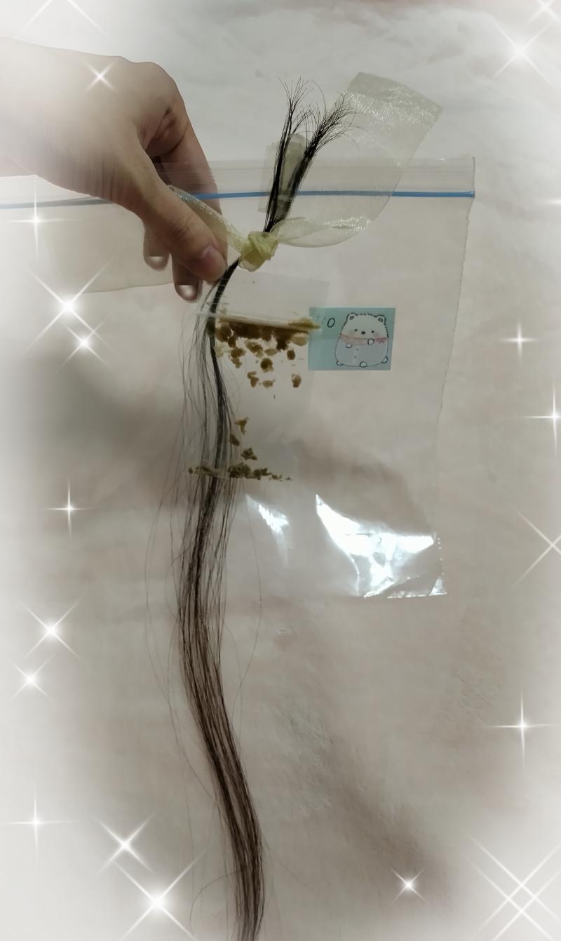 出品者名-写真-1