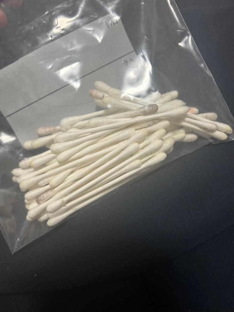 出品者名-写真