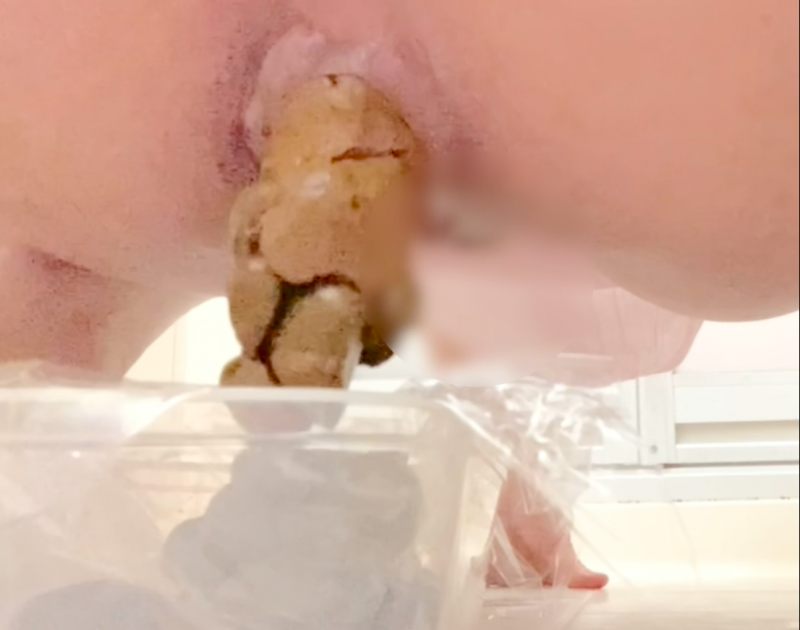 出品者名-写真-1
