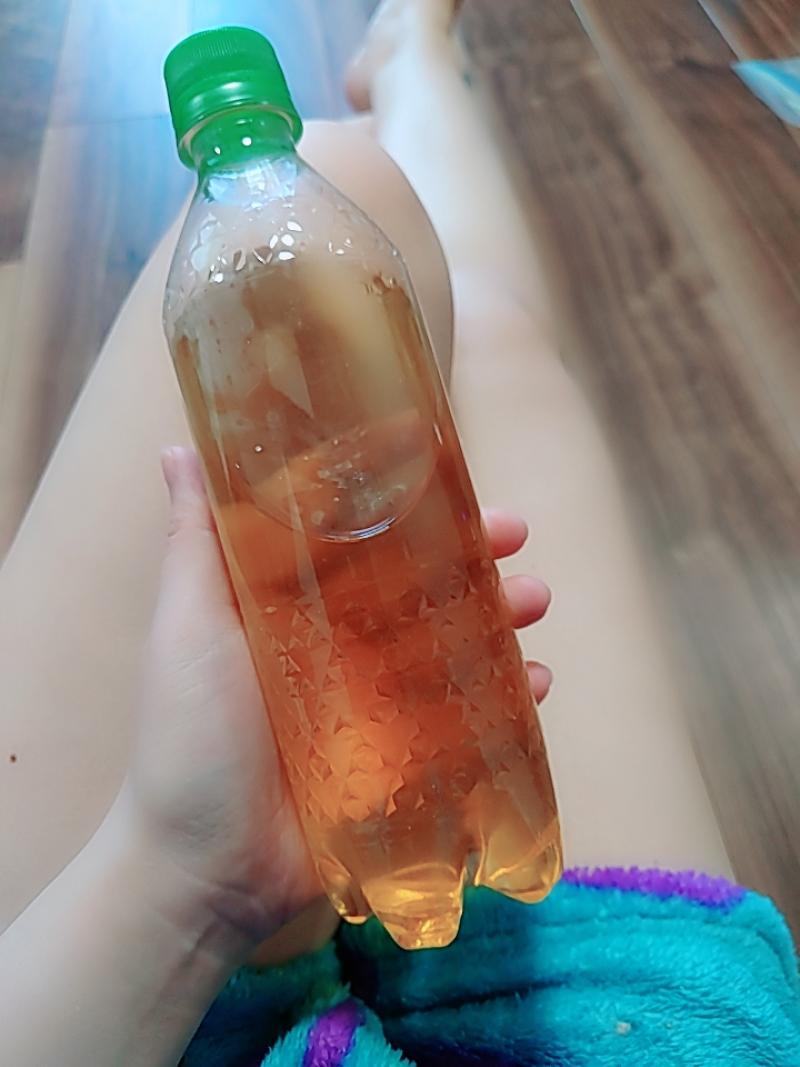 出品者名-写真
