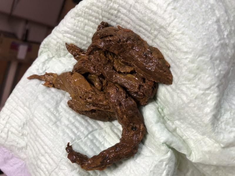 出品者名-写真-1