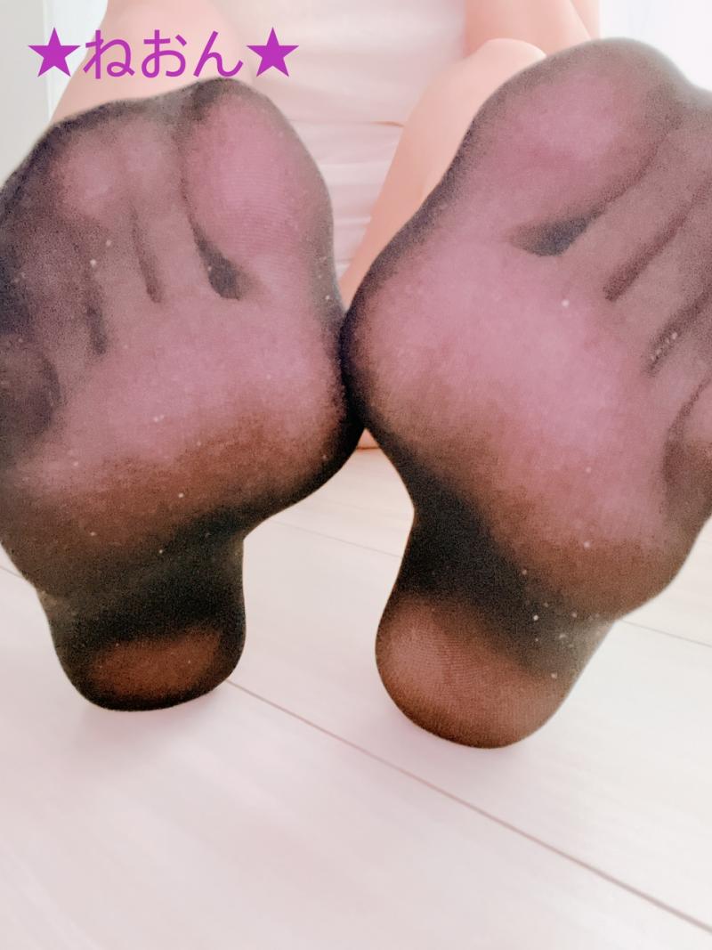 出品者名-写真-1
