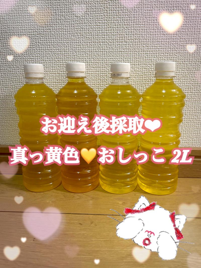 出品者名-写真