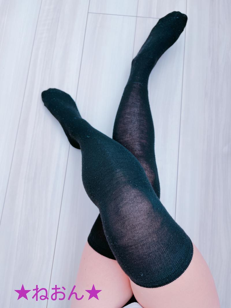 出品者名-写真-1
