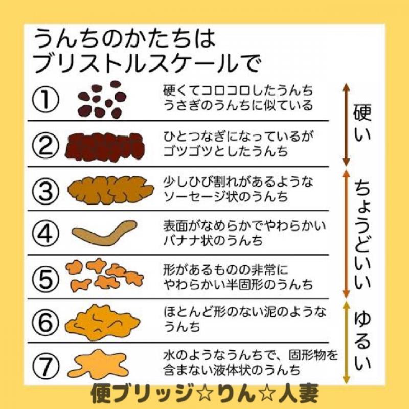 出品者名-写真-1