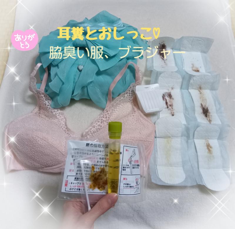 出品者名-写真