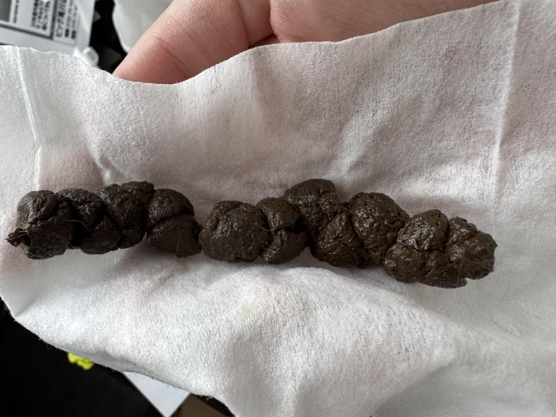 出品者名-写真-1