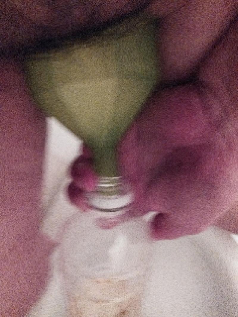 出品者名-写真-1