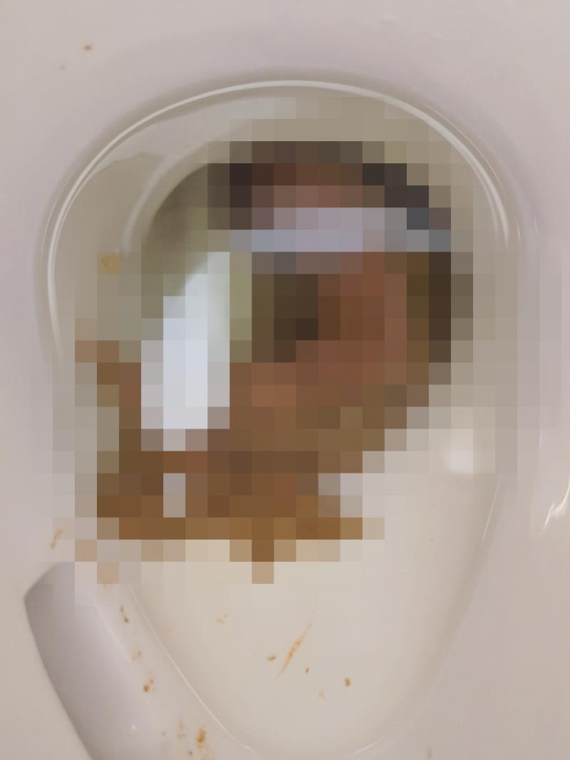 出品者名-写真
