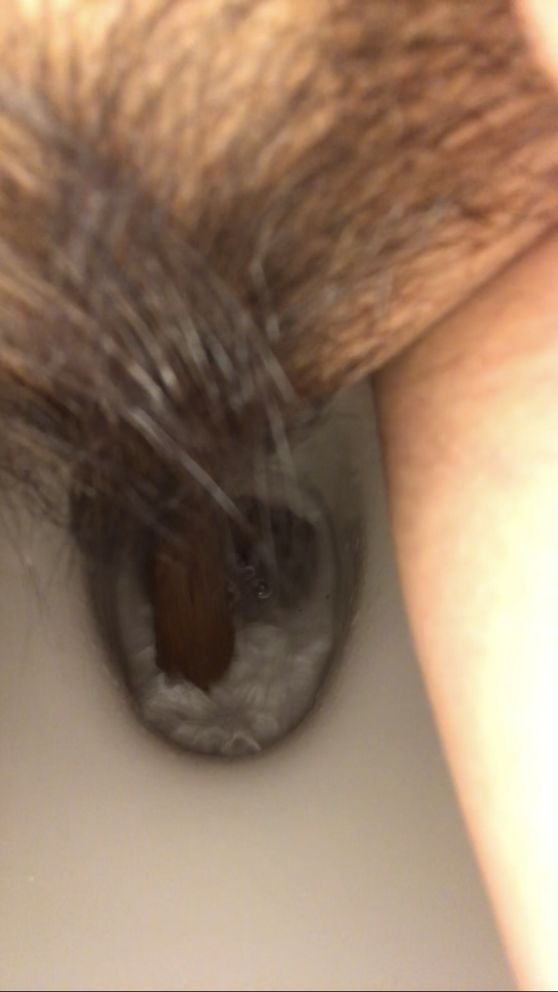 出品者名-写真
