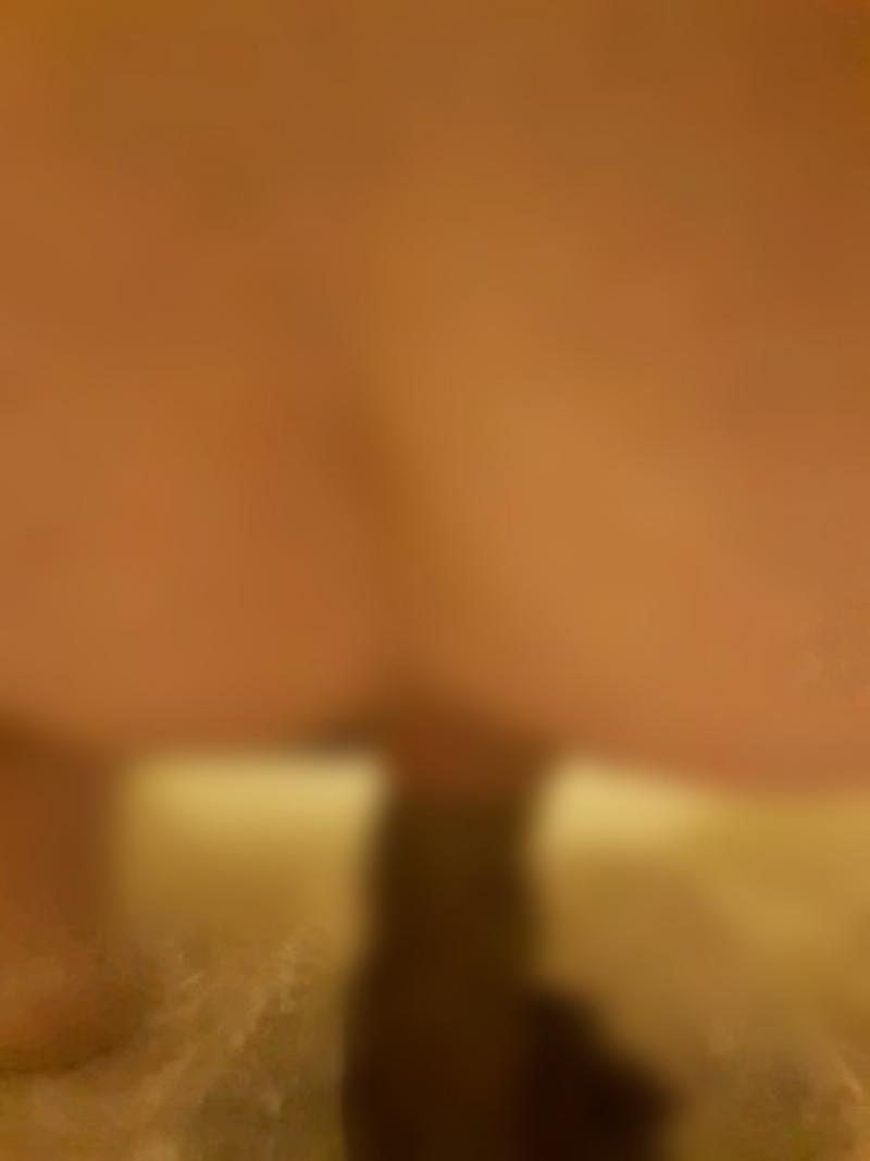 出品者名-写真-1