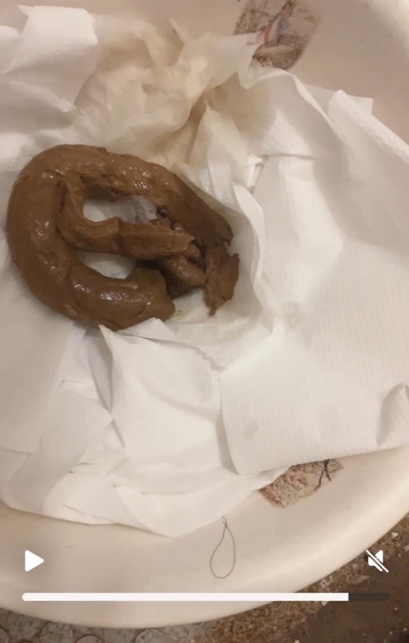 出品者名-写真-1