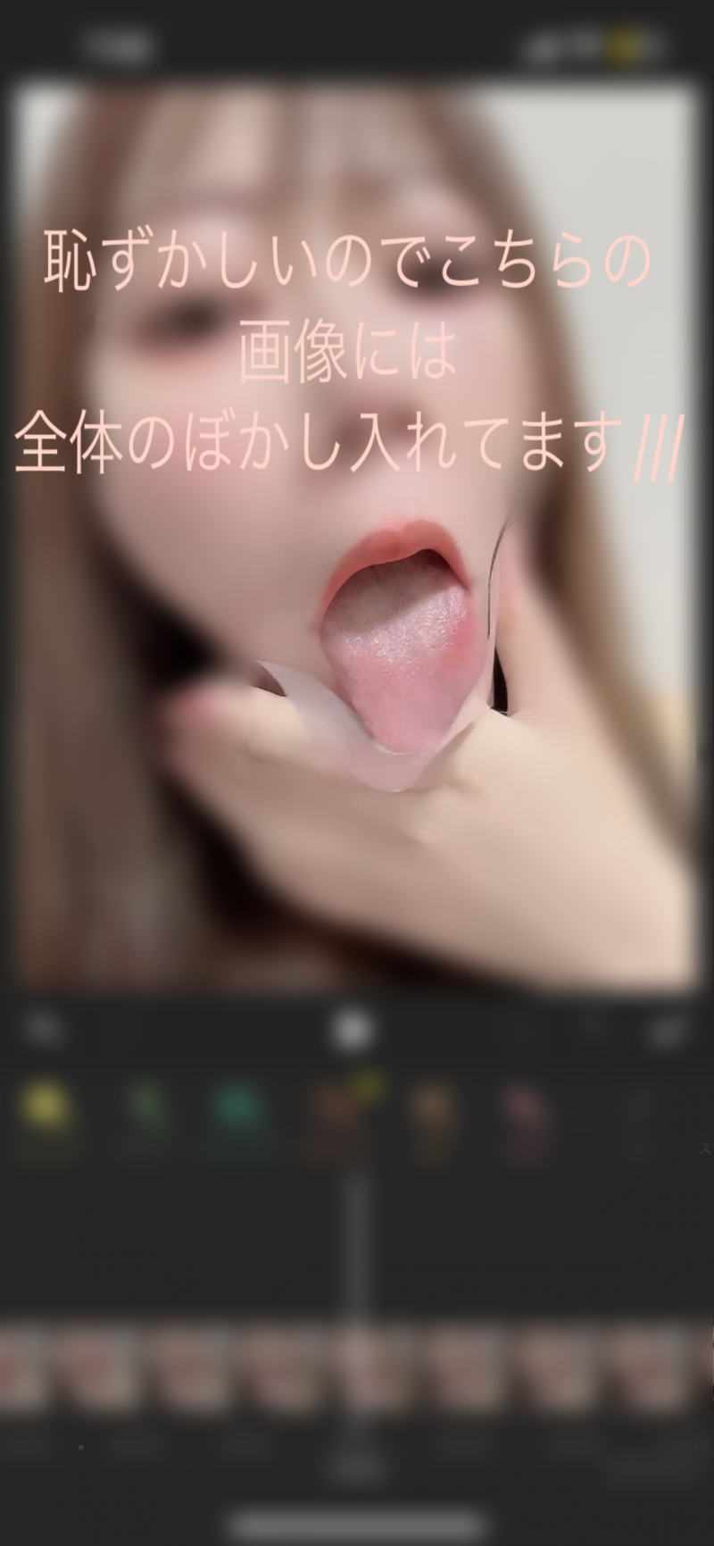 出品者名-写真