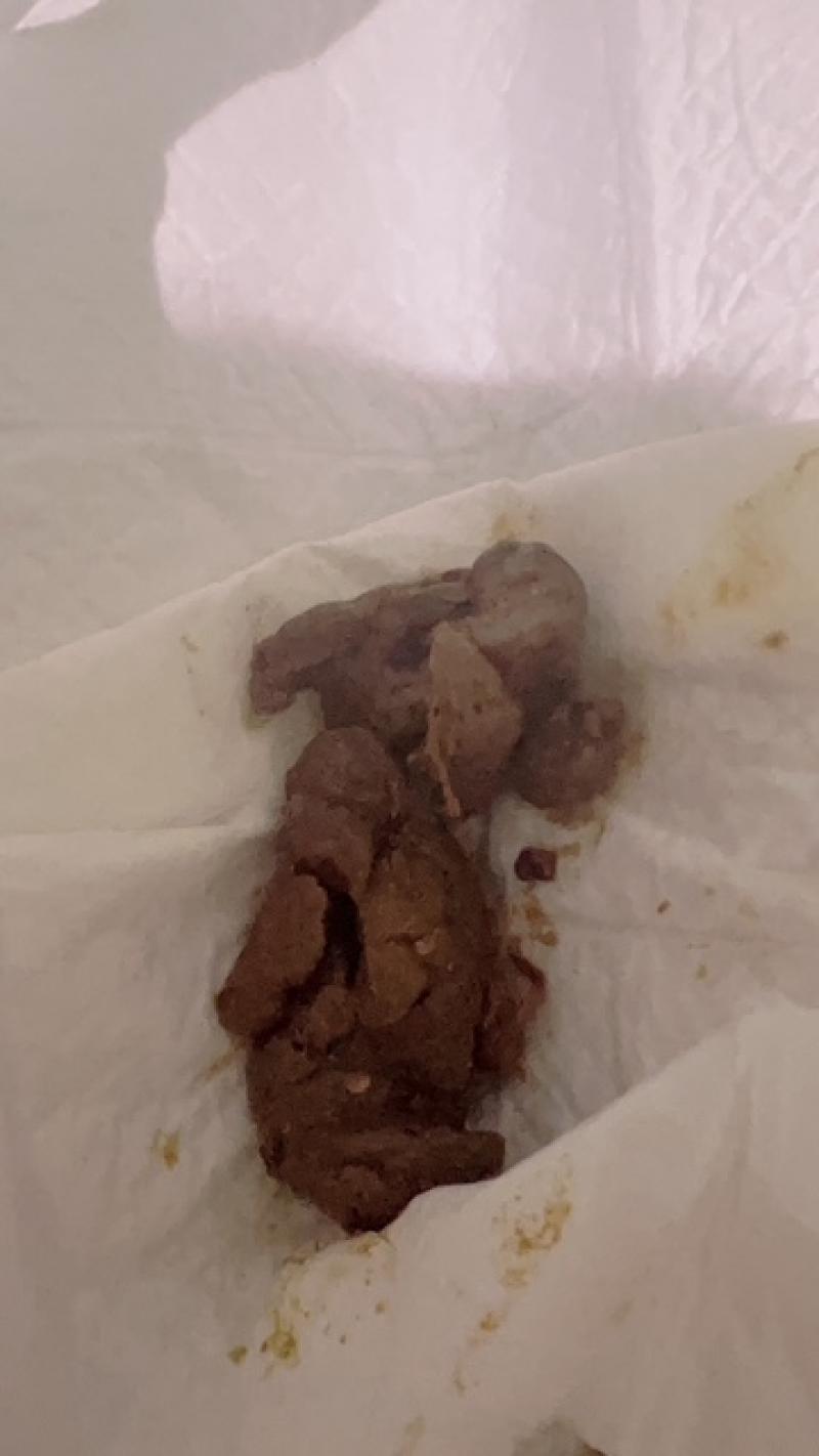 出品者名-写真-1