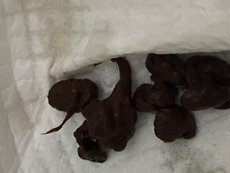 出品者名-写真-1