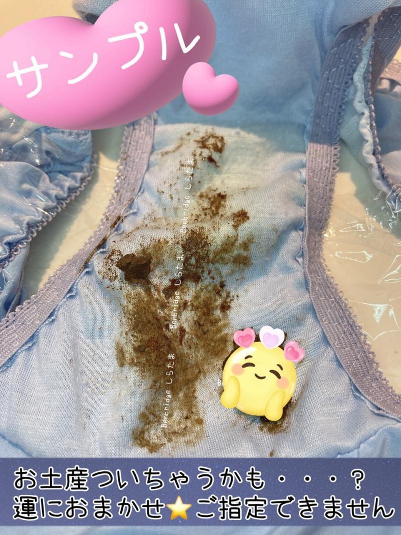 出品者名-写真-1