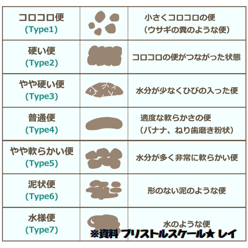 出品者名-写真-1