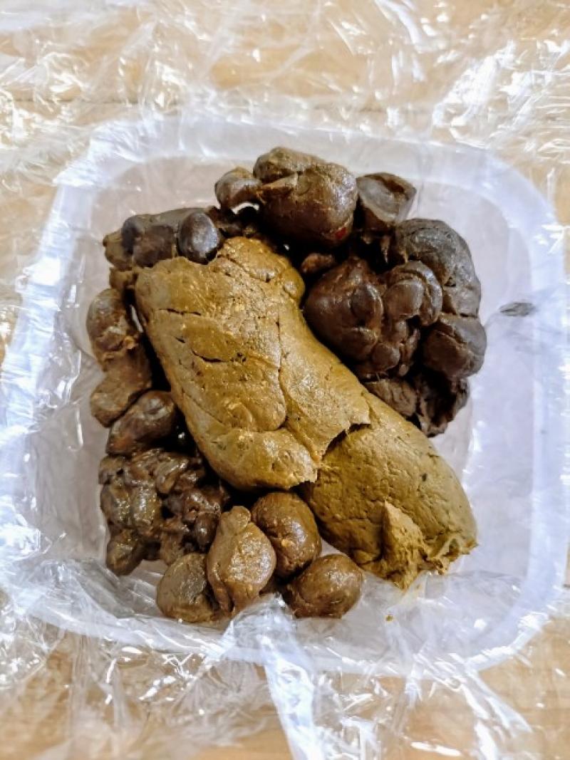 出品者名-写真-1