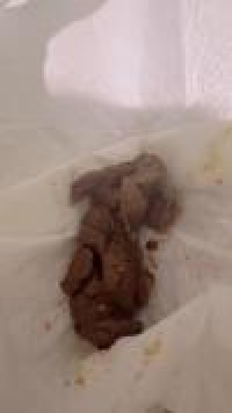 出品者名-写真-1