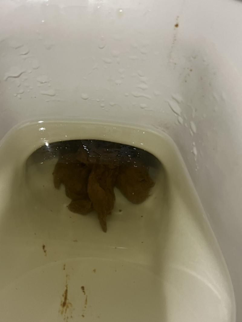 出品者名-写真-1