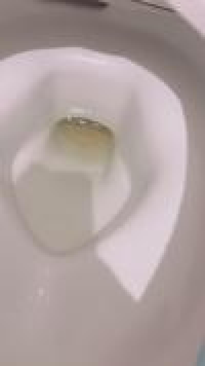 出品者名-写真-1