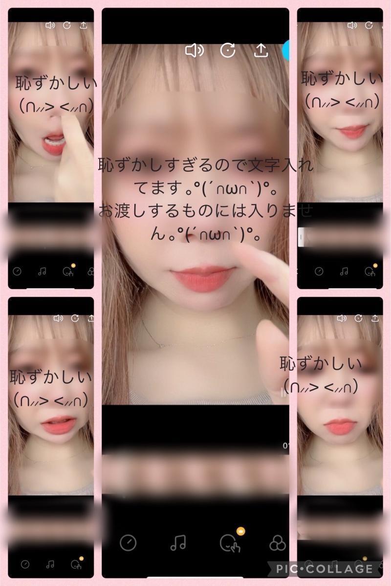 出品者名-写真-1