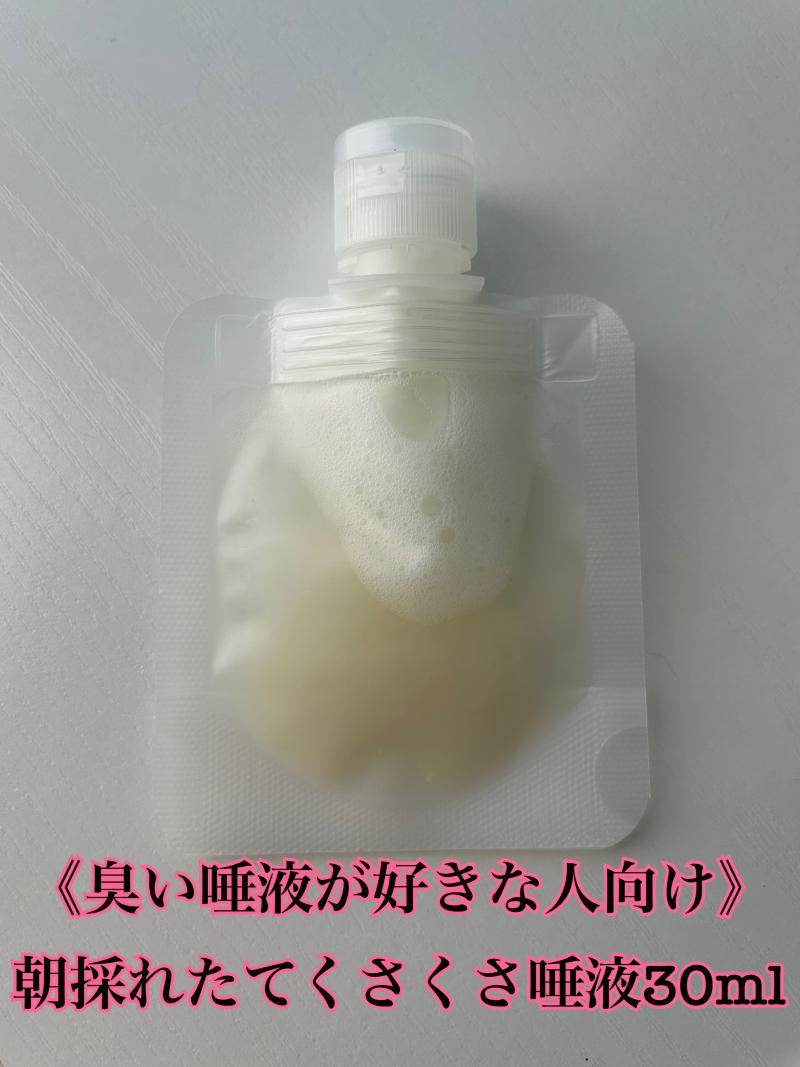 出品者名-写真