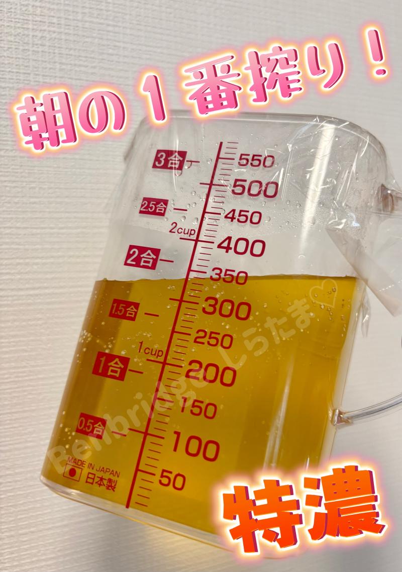 出品者名-写真-1