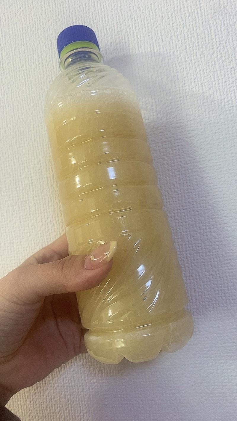 出品者名-写真-1