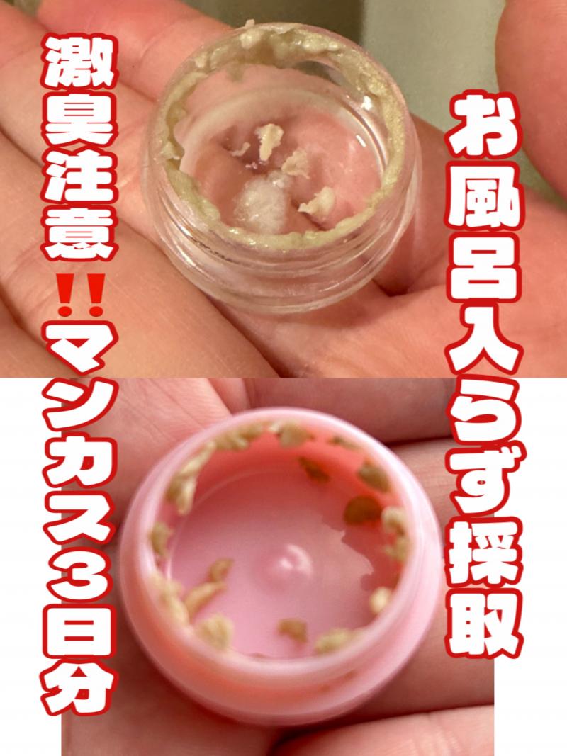 出品者名-写真