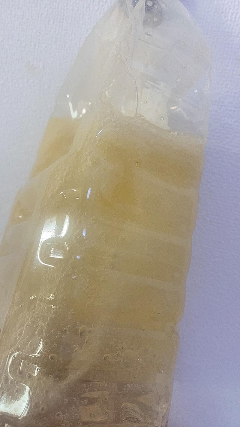 出品者名-写真