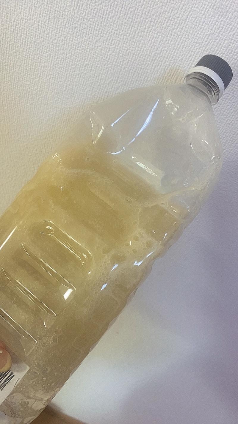 出品者名-写真-1