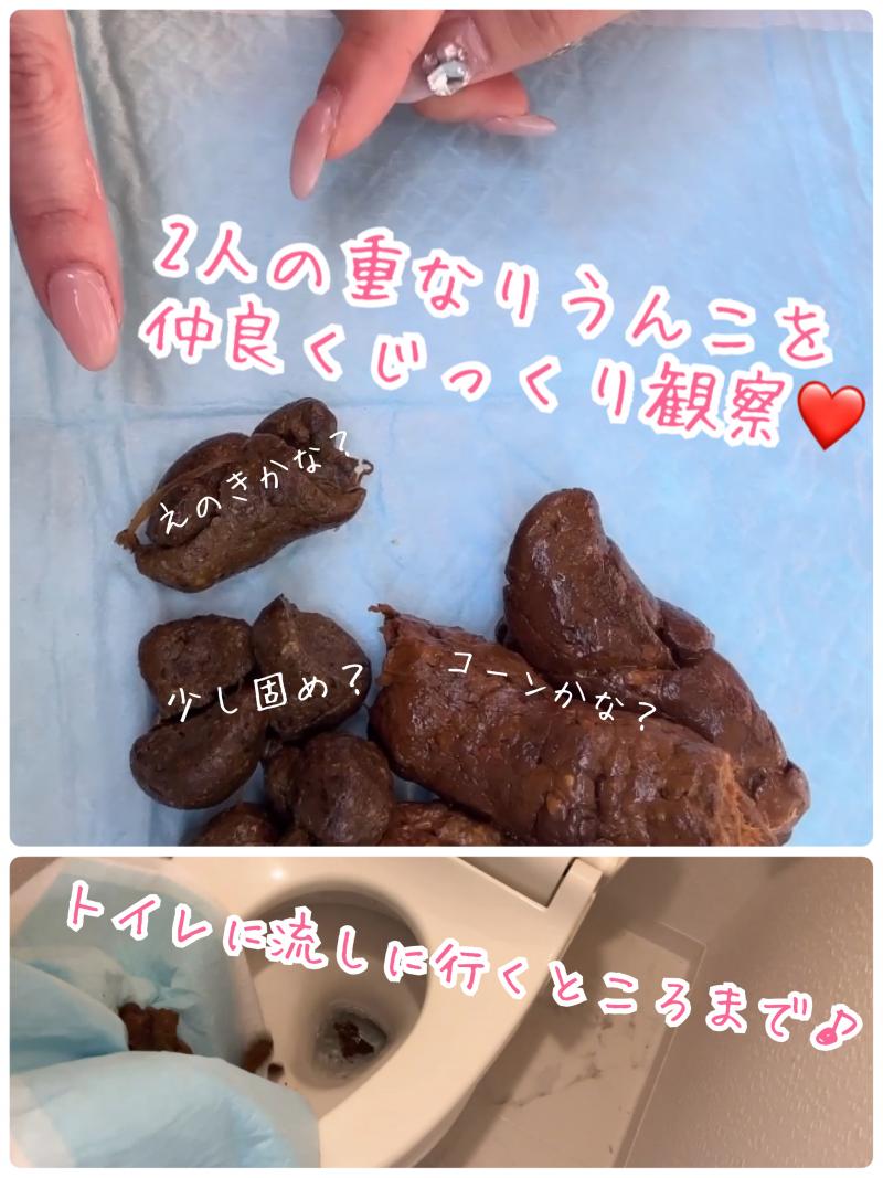 出品者名-写真-1