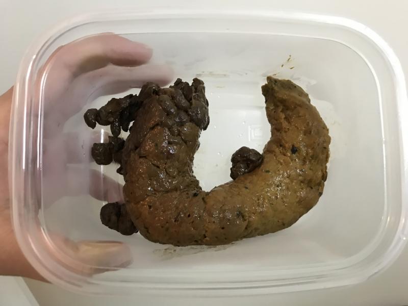 出品者名-写真-1