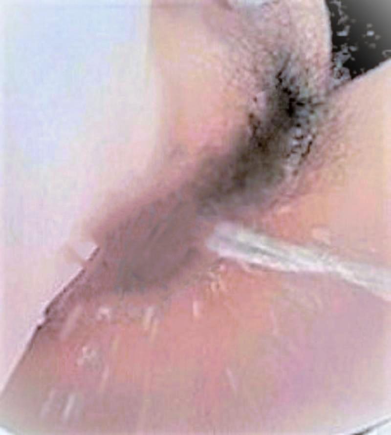 出品者名-写真-1