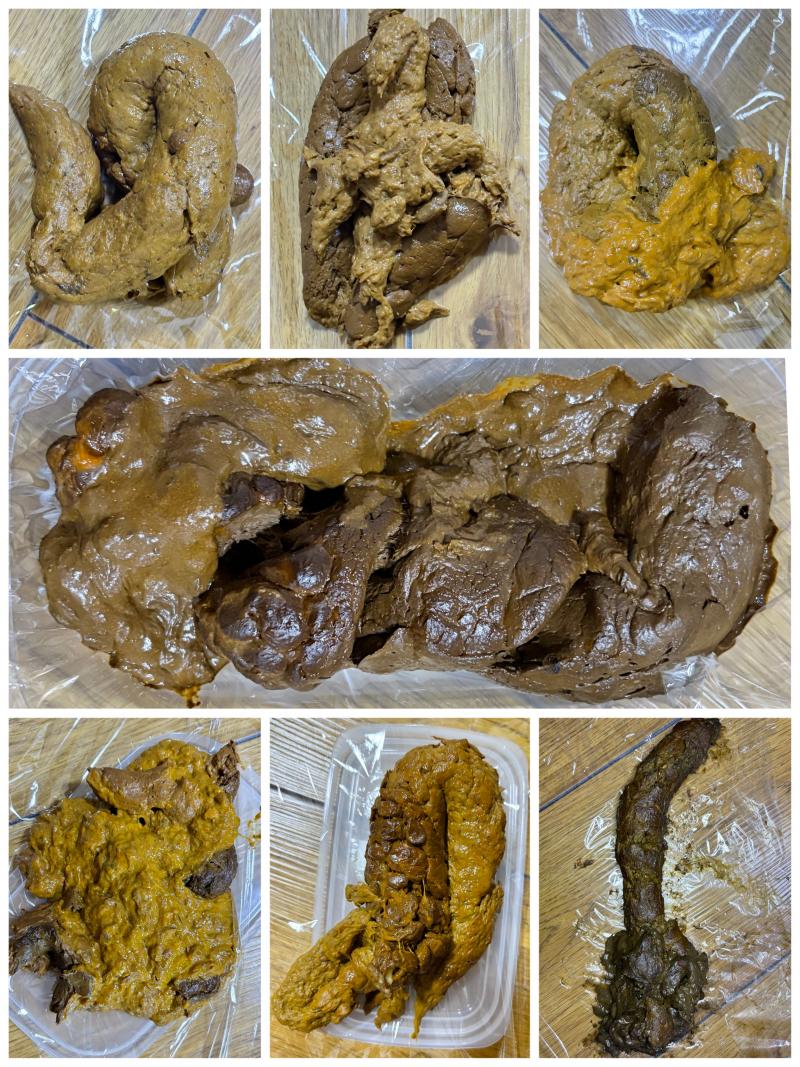 出品者名-写真-1