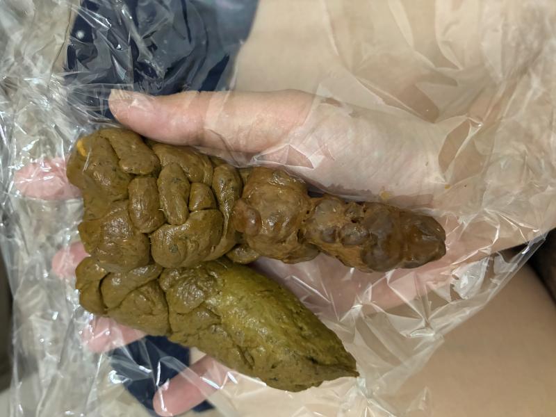 出品者名-写真-1