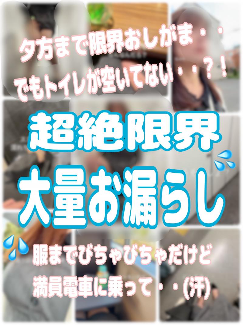 出品者名-写真-1