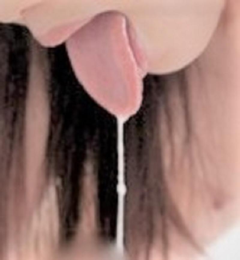 出品者名-写真-1