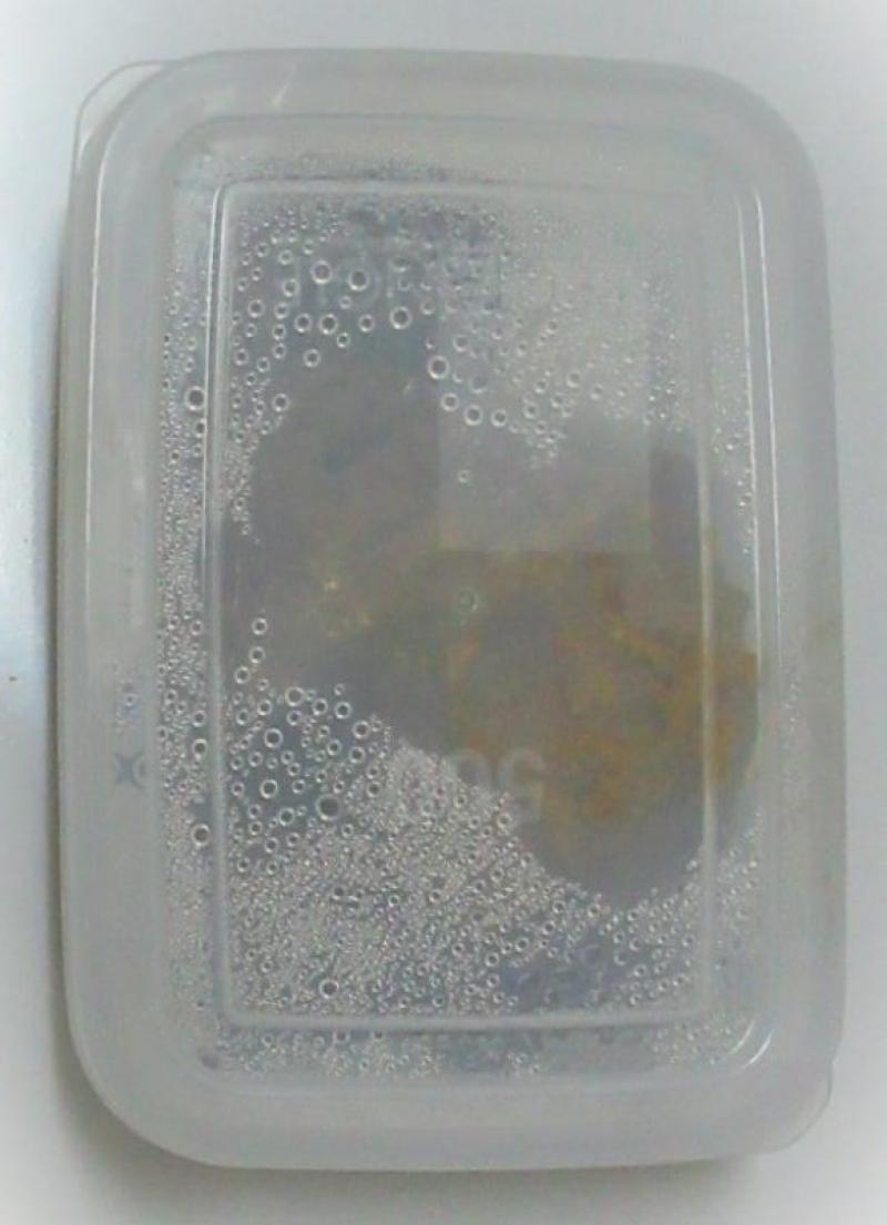 出品者名-写真-1