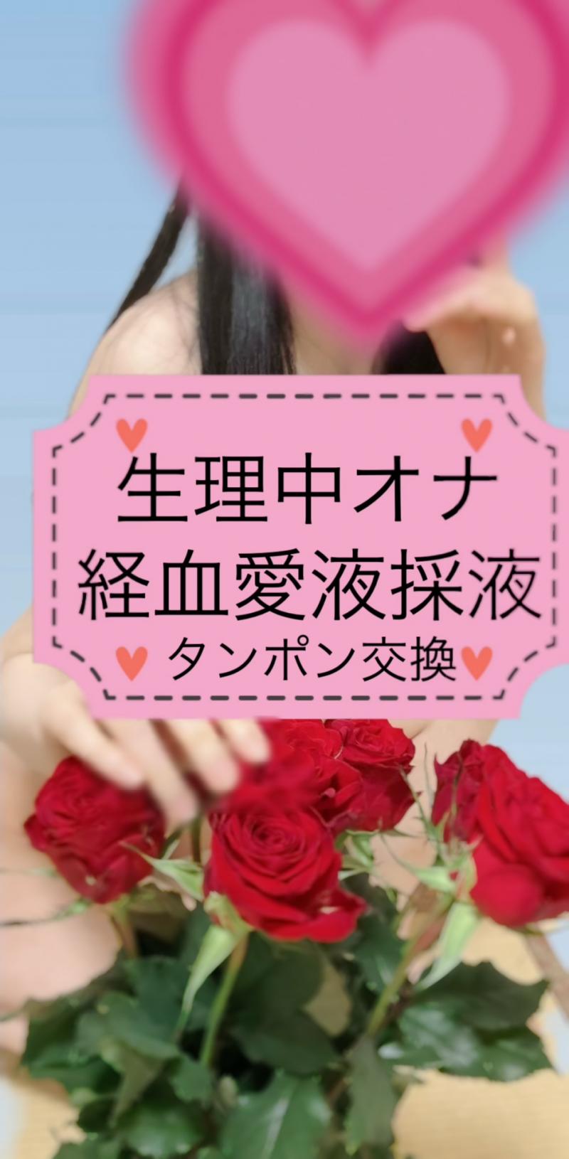 出品者名-写真