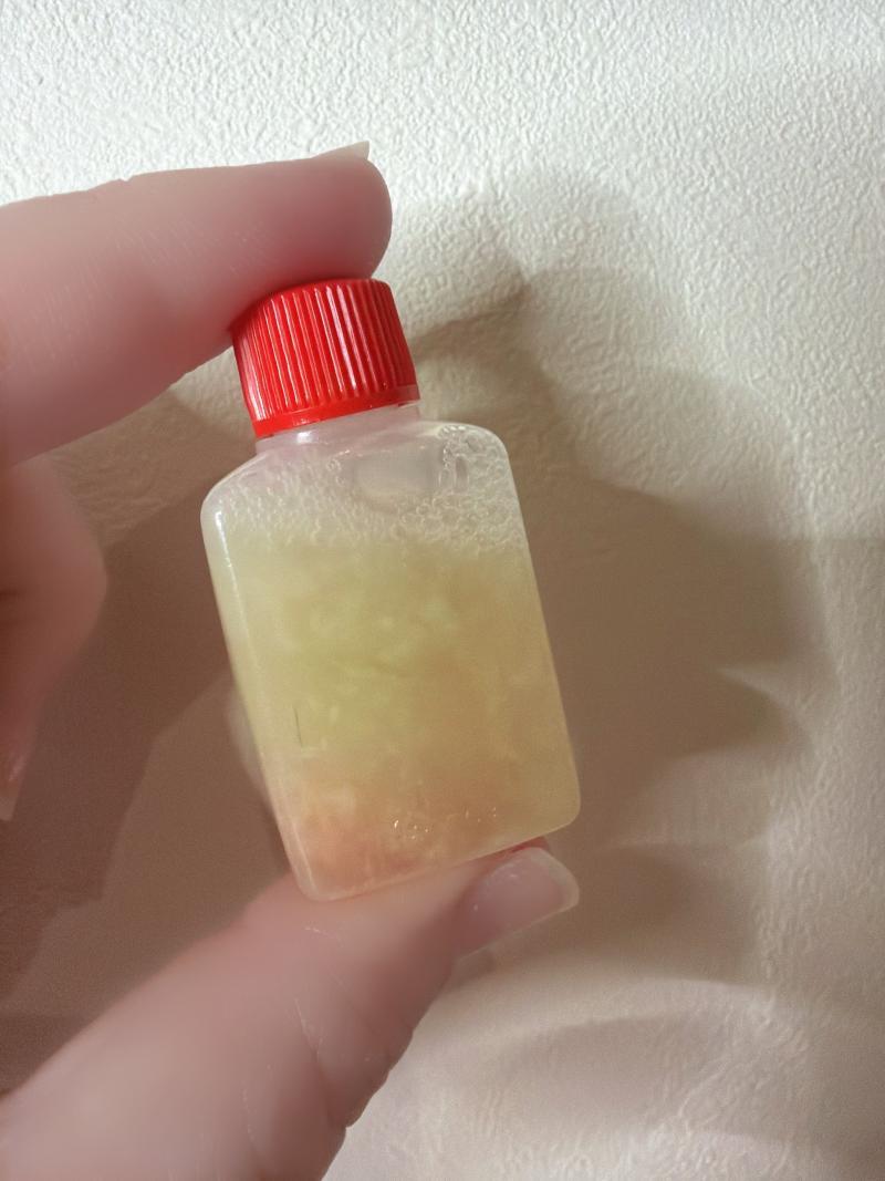 出品者名-写真-1