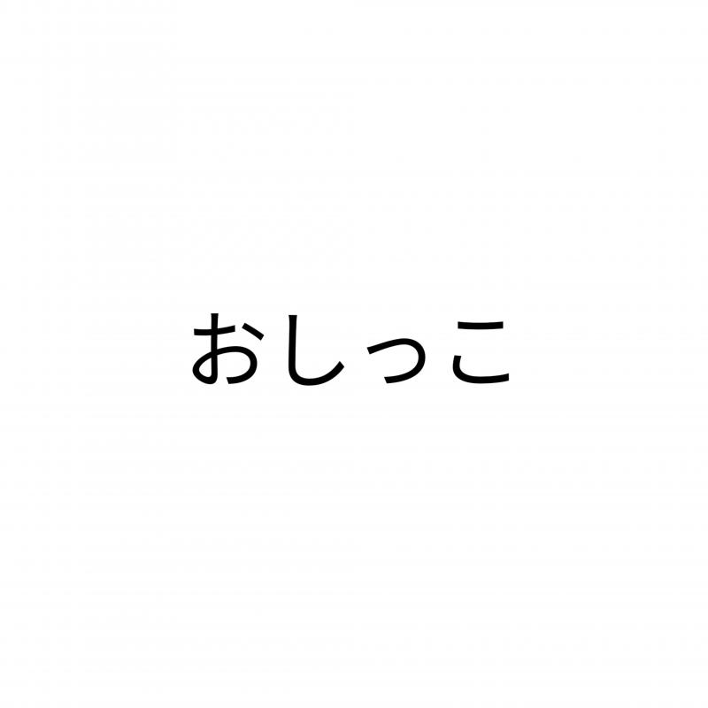 出品者名-写真