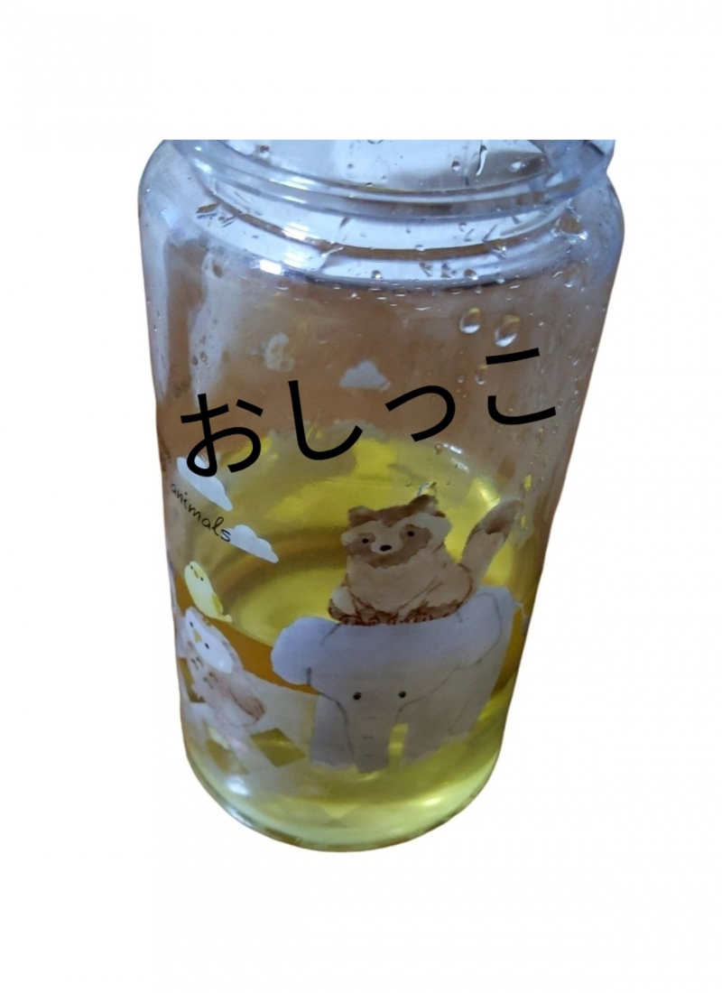 出品者名-写真-1