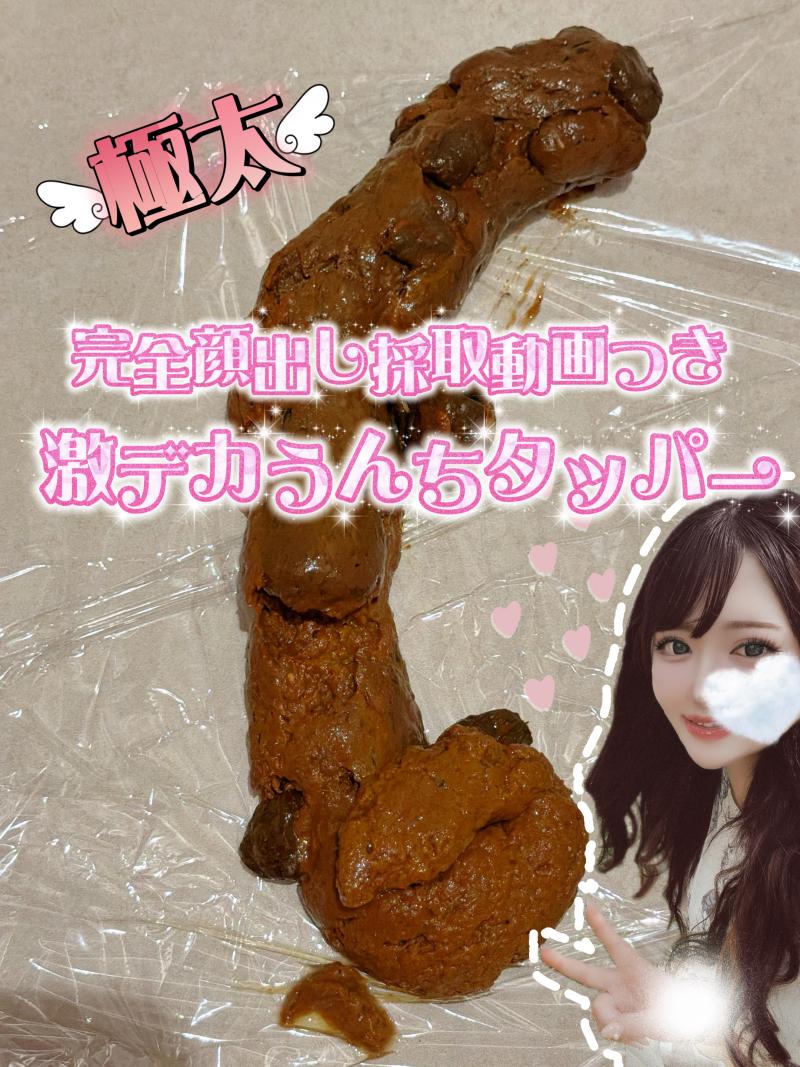出品者名-写真