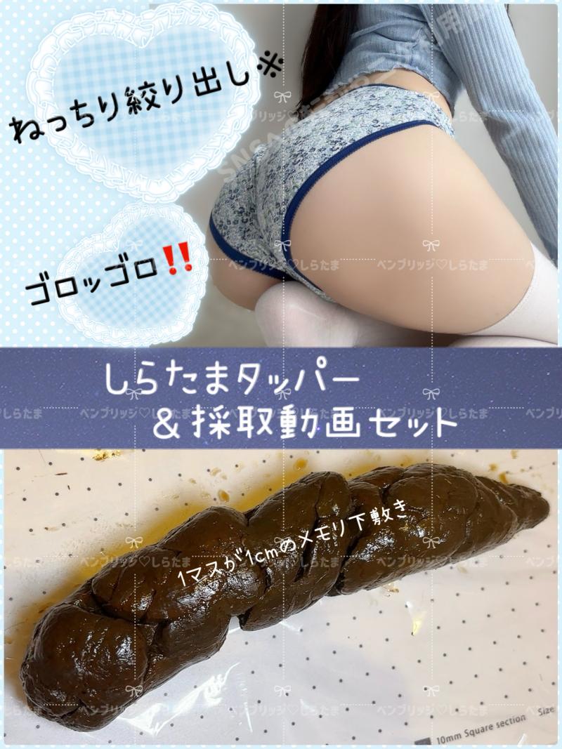 出品者名-写真